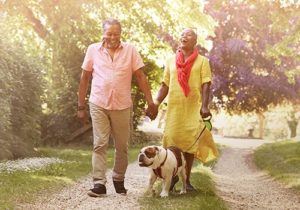 An older couple walking a dog