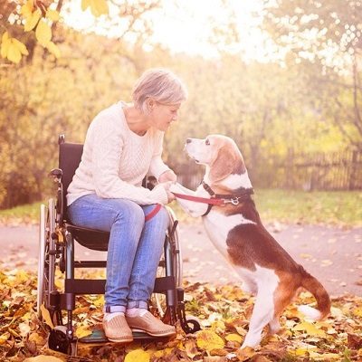 woman in wheelchair holding a dog's paws
